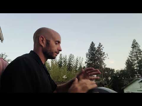 Handpan for Hummingbirds (Opsilon D Minor Kurd)