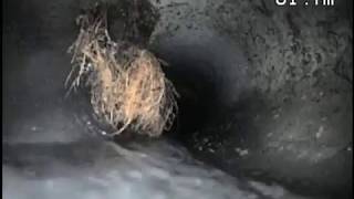 55_（最新技術-高速回転清掃機）マッドサイクロン・木の根除去