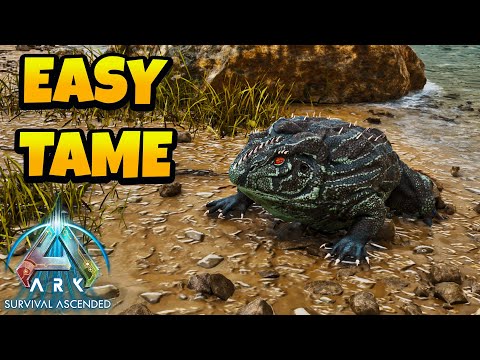 How to Tame Beelzebufo in Ark Survival Ascended