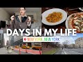 DAYS IN MY LIFE LIVING IN NEW YORK CITY My Skincare Routine Big Shopping And Clothing Haul