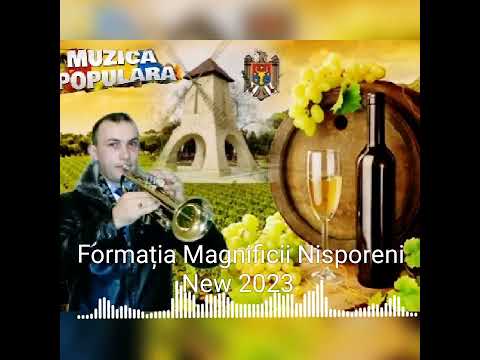 Formația Magnificii Nisporeni New 2023 - Trompeta Hora Moldoveneasca bună 🎺🎺🎺🇲🇩🎼🎵👍