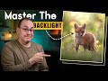 BACKLIGHTING Pro Tips For Amazing Photos