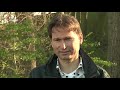 Eikenprocessierups in aantocht [RTV Utrecht]