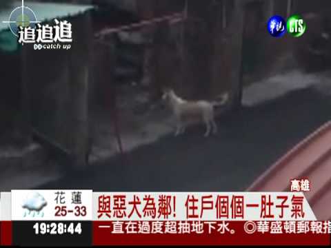 惡鄰縱狗追人 機車族嚇得險摔車