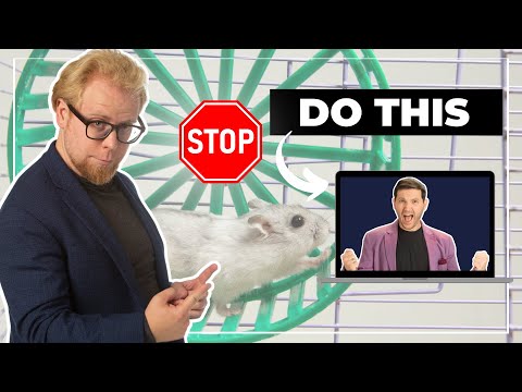 From Service to Product: How to Successfully Productize Your Expertise