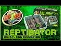 Video: Incubadora digital para reptiles REPTIBATOR