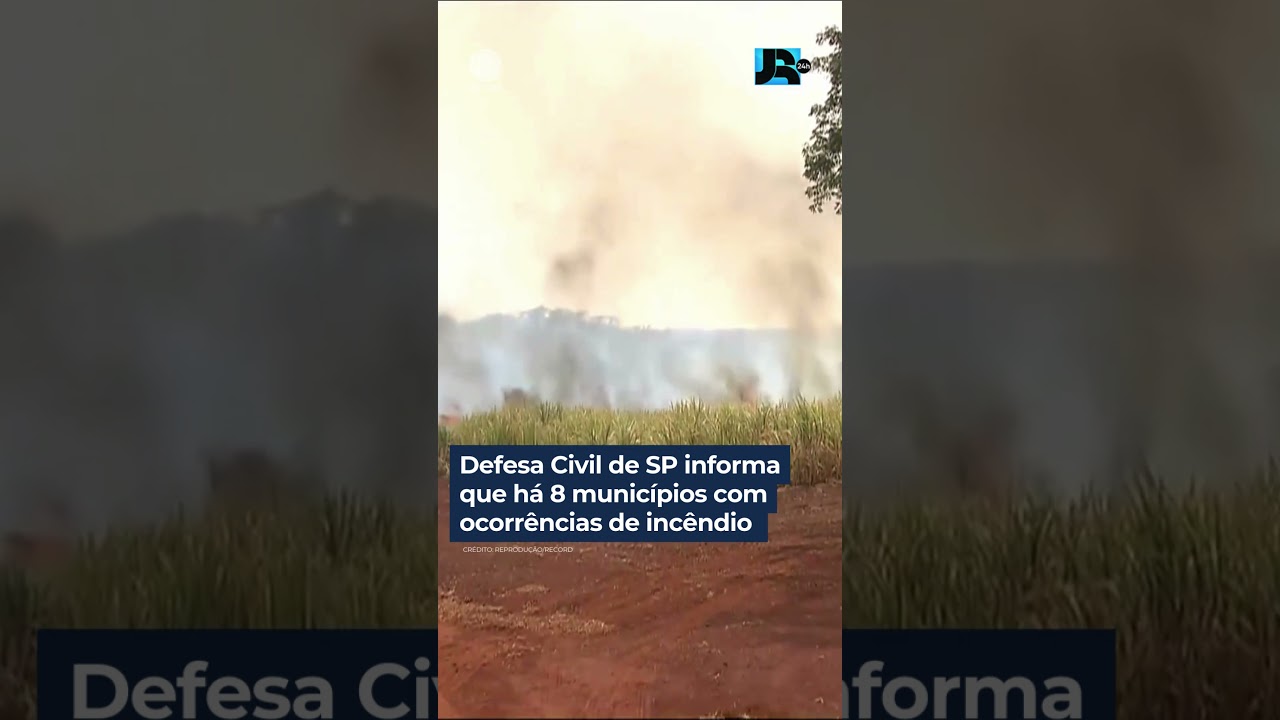 Defesa Civil de SP informa que há 8 municípios com ocorrências de incêndio em andamento #shorts