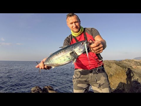 Light shore jigging. Tunny. 06.11.2018