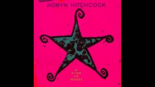 Robyn Hitchcock - 1974