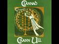 Clannad - Crann Ull - 08 Planxty Browne 