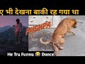 Srivalli Teri Jhalak Sarfi Srivalli Funny Dog Dance Funny Dance In Dog