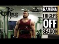 JAN TUREK IFBB PRO - RAMENA, TRICEPS/ OFF SEASON