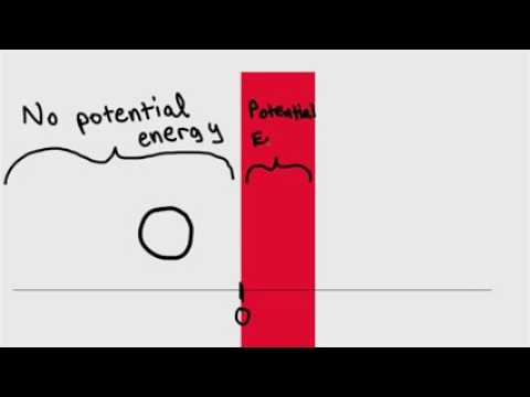 Finalist 2015 Breakthrough Junior Challenge: Jay Shenoy