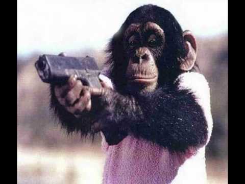 Spitnoise - Like An Animal