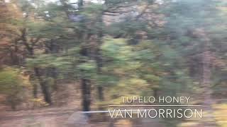 Tupelo Honey (cover) - Van Morrison