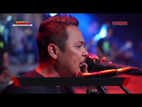 OM ADELLA SEBUJUR BANGKAI SPESIAL CAK FENDIK