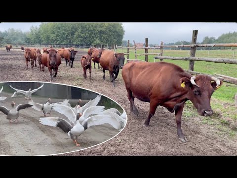 Październik w Gospodarstwie Agroturystycznym u Państwa Kuśnierz