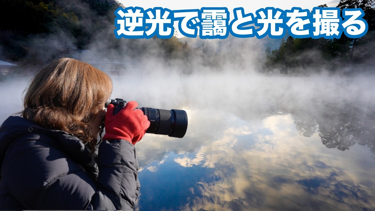 朝靄は【逆光で撮影】光に向かって撮影するとこうなります