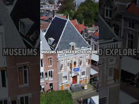 Discovering Haarlem: A Charming Dutch City Full of History and Culture!