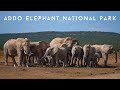 Addo Elephant National Park South Africa | Overlanding In Our Land Rover Defender 110 Camper