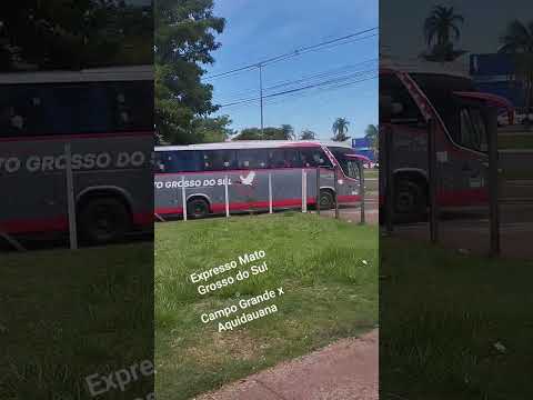 Expresso Mato Grosso do Sul Campo Grande x Aquidauana