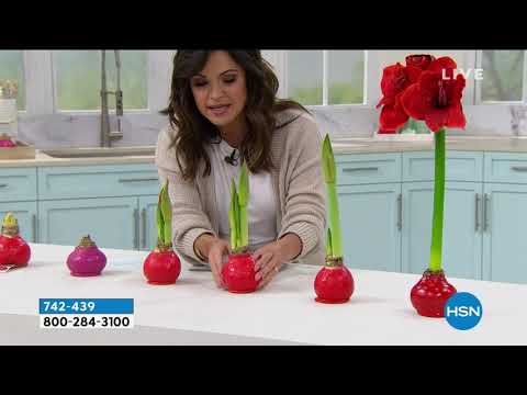 HSN | Make Yourself at Home 02.03.2021 - 07 PM