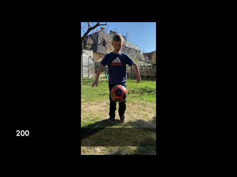 Kolko zonglov das na SDM Domino hymnu?