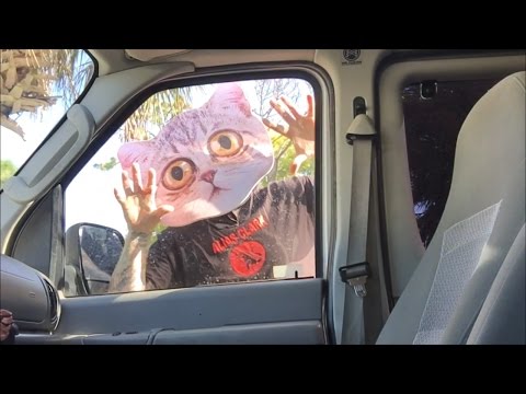 TDW 1553 - Scariest Thing I've Ever Bought