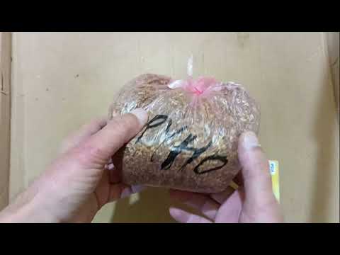 Табак-Золотое Руно средне-легкий ( как бы Болгария ) Обзор табака 2025.