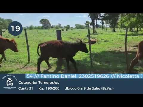 Lote M Y H - 9 de Julio Bs As