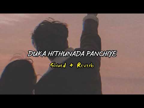DUKA HITHUNADA PANCHIYE ( SLOWED+ REVERB)