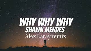 Shawn Mendes why why why (Alex Laray remix)