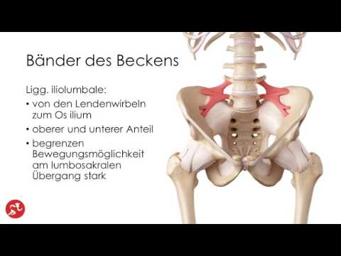 Ausstrahlende Schmerzen in den Unterleib eines Mannes Nackenschmerzen in einem Kind 4 Jahre