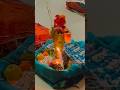 Gauriganpati Gauri Gaurai Ganpati Ganeshotsav Kokan Viral Viralvideos Viralvideo Viralpost