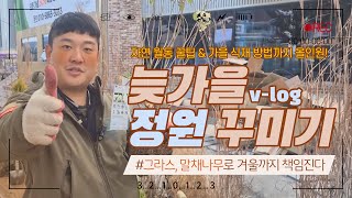 가을 식재를 아직까지 두려워하는 자, 누구인가? | 나무 자연 월동 꿀팁 / 가을 식재 방법까지 한꺼번에 소…