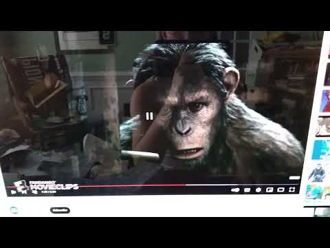 Animals, Inc. part 16 meet Donkey/cave