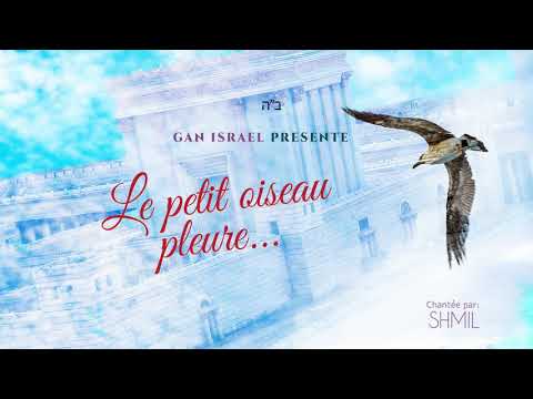 Le Petit oiseau pleure - Gan Israel