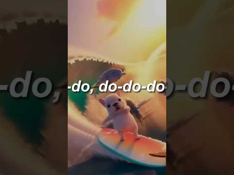 el perrito en la tabla del Surf #ia #beach  #shortviral