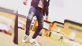 Shampoo x Rodney phyll