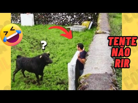 DESAFIO! TENTE NÃO RIR IMPOSSÍVEL - OS MELHORES memes e VÍDEOS ENGRAÇADOS 2026 #memes #comedia #125 