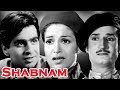 Shabnam Shabnam