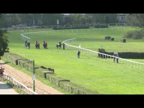 15. 9. 2018 -  Dostihy poníků