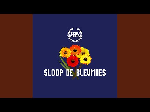 Sloop De Bleumkes