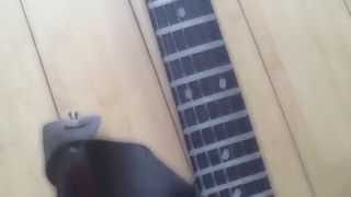 Video thumbnail for Godin Detour: regular 5 way switch demo. Seymour Duncan Wiring. by picpouille