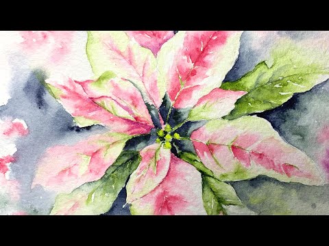 Watercolor pink poinsettias tutorial paint along demo