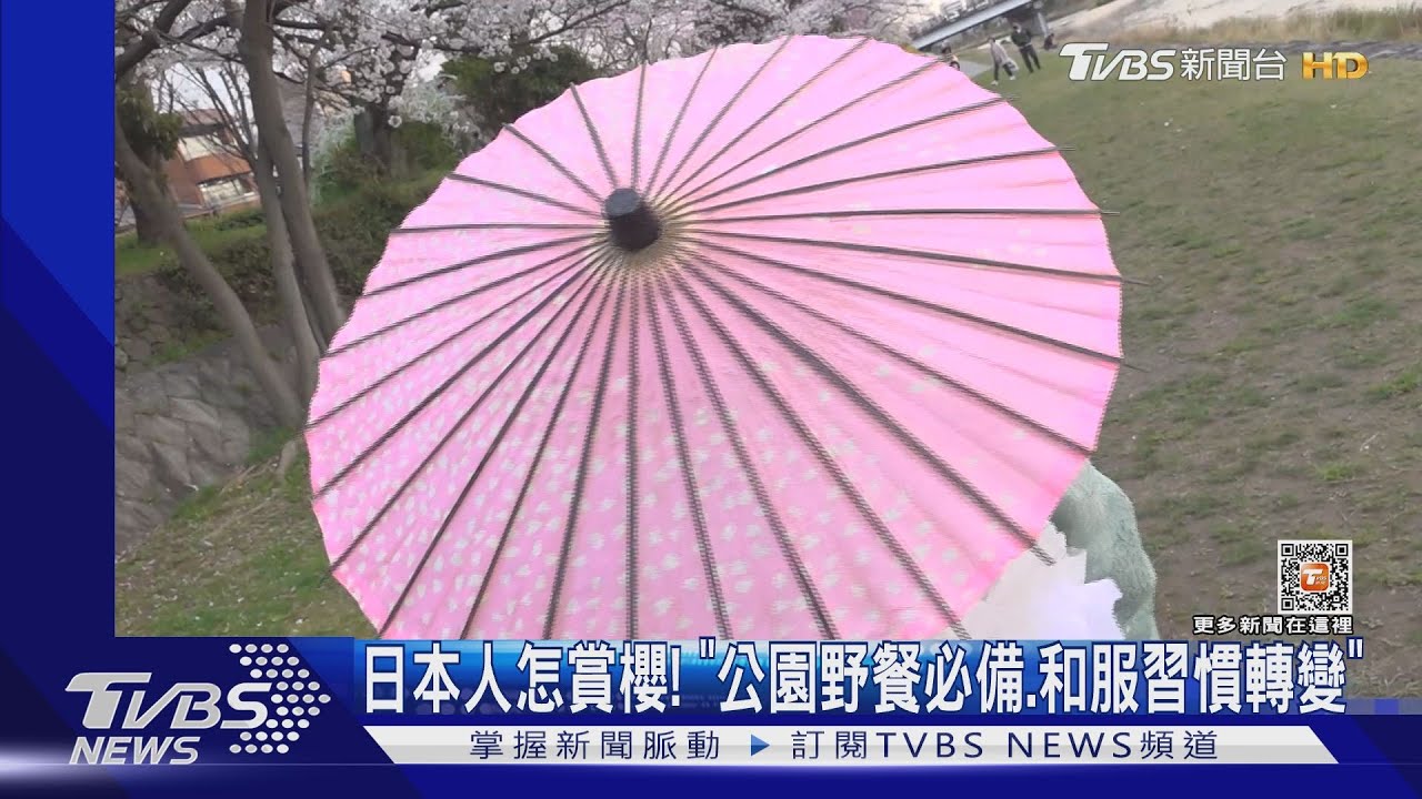 日本人怎賞櫻!「公園野餐必備 和服習慣轉變」