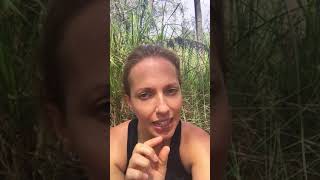 Time in Nature for Hormonal Balance - Simple, yet Intelligent Health