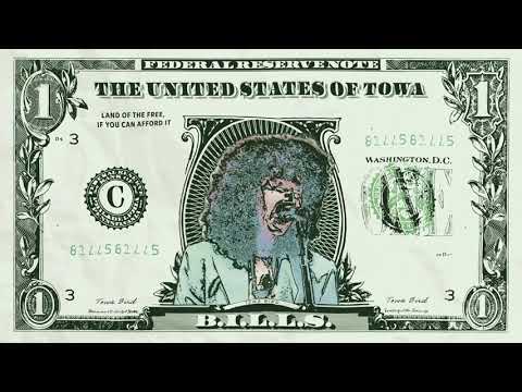 Bills - Towa Bird