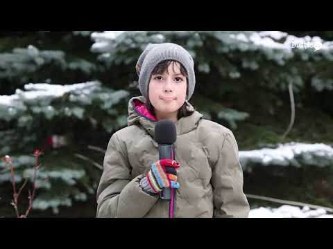 Recomandări de iarnă la munte - Sara Bondoc