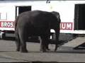 Ringling Brothers Circus Train Comes To Norfolk Va